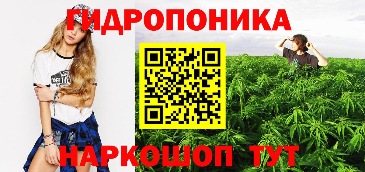 Шишки марихуана план Усть-Илимск